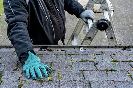 Roof Installation