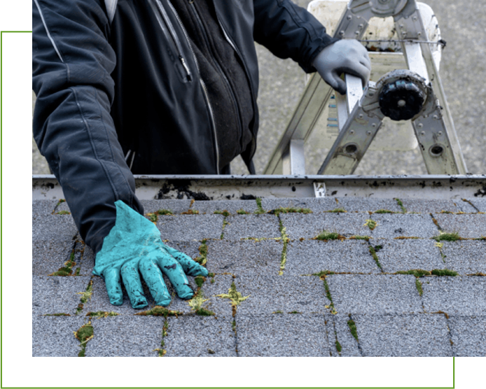 Real Estate Roofing Services, Inc. & (sister company) Real Estate Mold Solutions