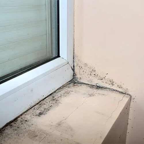 window-mold